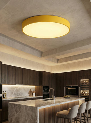 Round Ceiling Light | Modern Flush Mount Fixture